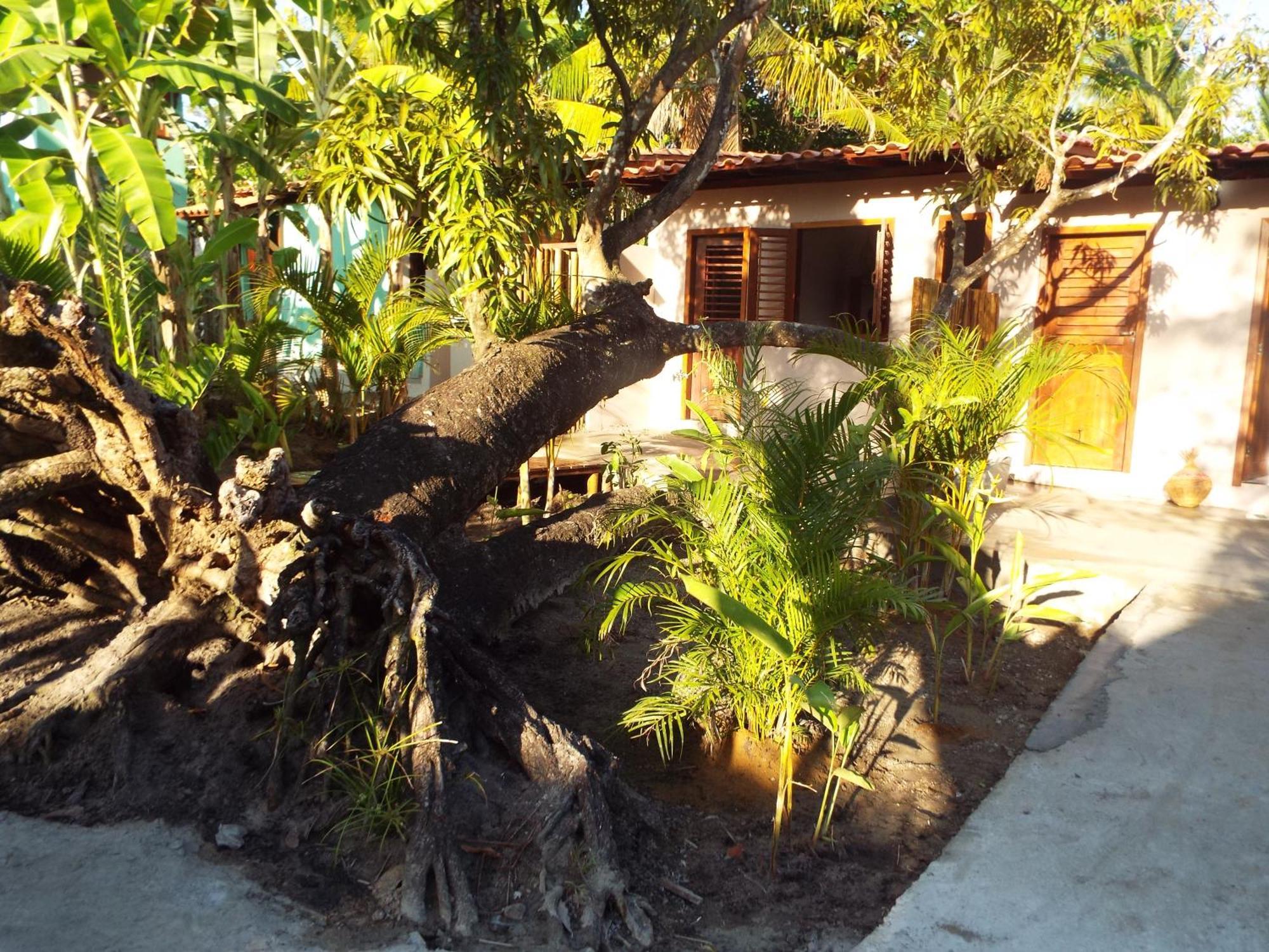 Jardim Uixa Villa Velha Boipeba ภายนอก รูปภาพ
